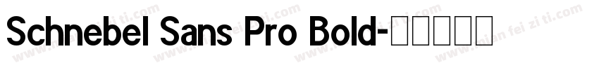 Schnebel Sans Pro Bold字体转换